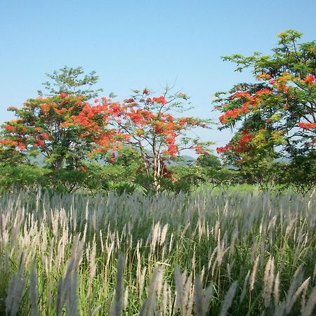 Lilawalai Resort Nong Nam Daeng Εξωτερικό φωτογραφία