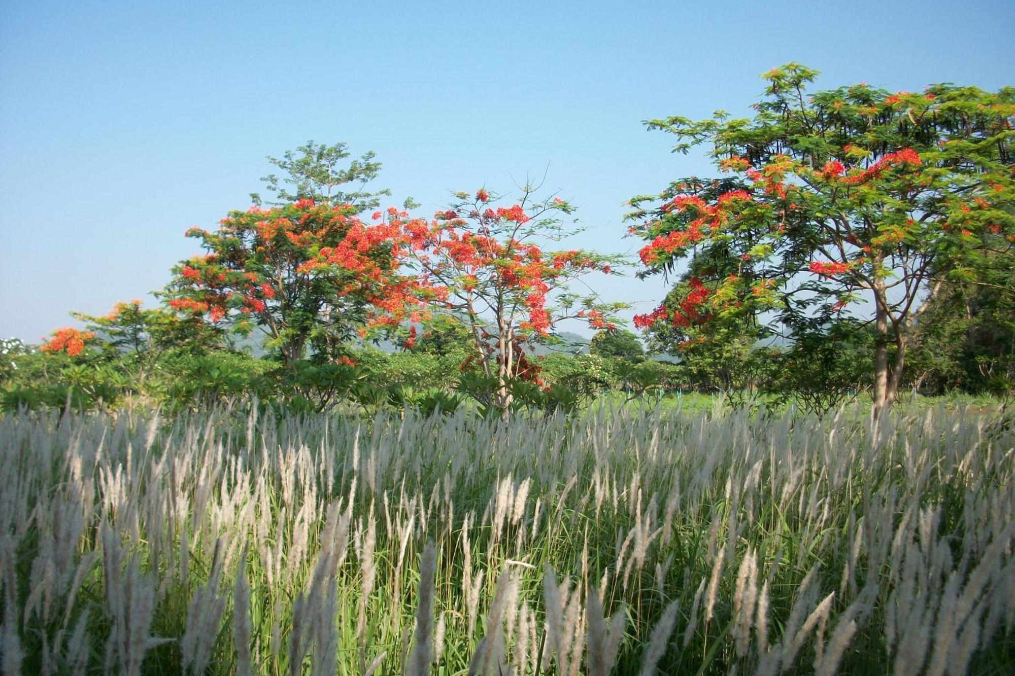 Lilawalai Resort Nong Nam Daeng Εξωτερικό φωτογραφία