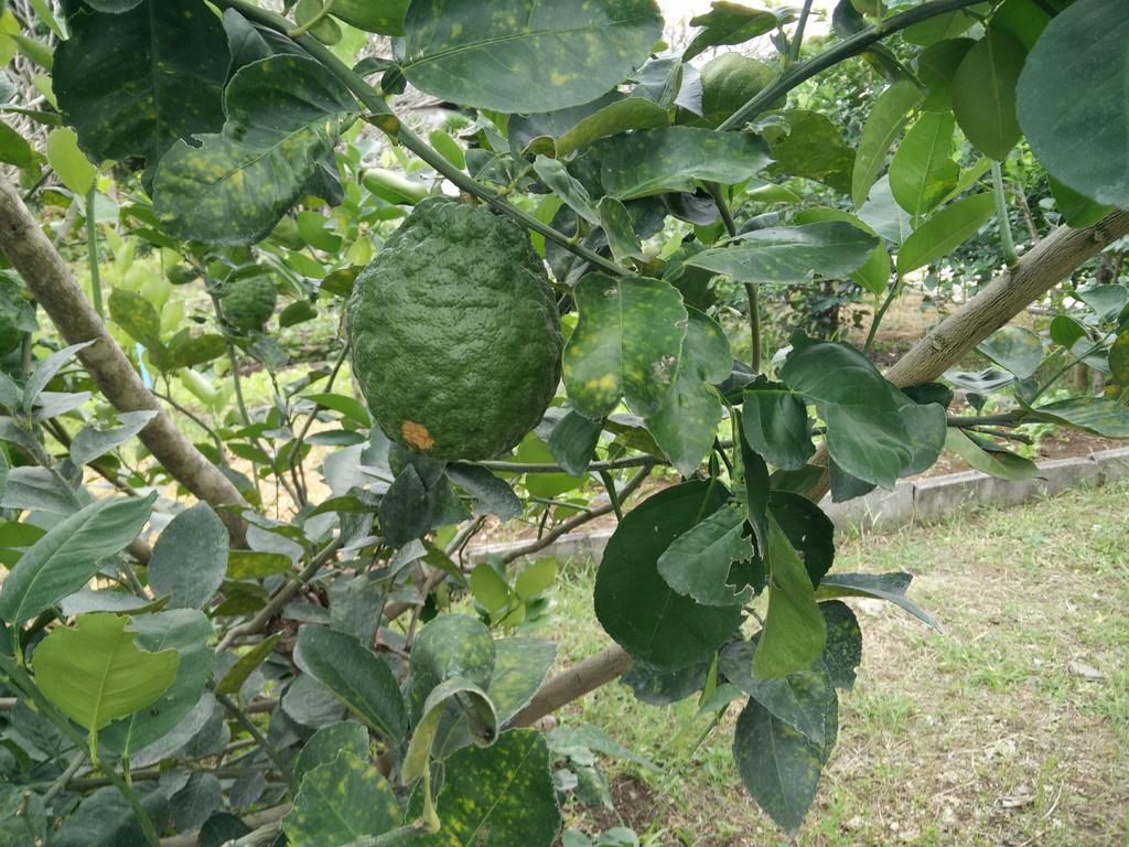 Lilawalai Resort Nong Nam Daeng Εξωτερικό φωτογραφία